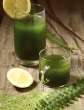 Load image into Gallery viewer, Organic Barley Grass Juice Powder 16 ounce